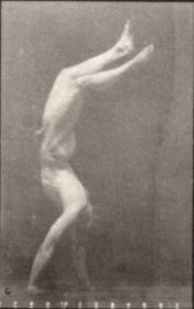 Plate 488 A: Lawn tennis. B: Dumbbells. C: Walking on hands. D: Ascending stairs — figure reference